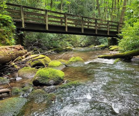 Backcountry Campsite #93