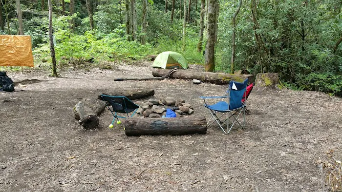 Backcountry Campsite #93 Picture 2