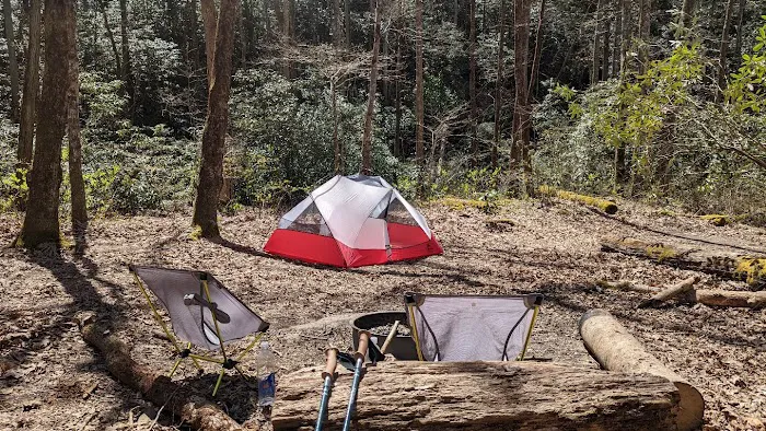 Backcountry Campsite #93 Picture 5