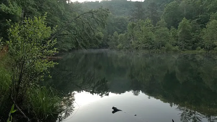 Backcountry Campsite #90 Picture 3