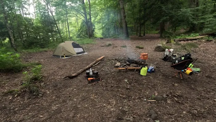 Backcountry Campsite #90 Picture 1