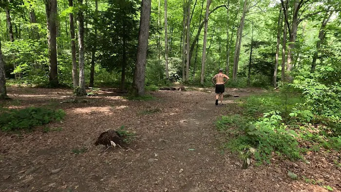 Backcountry Campsite #90 Picture 2