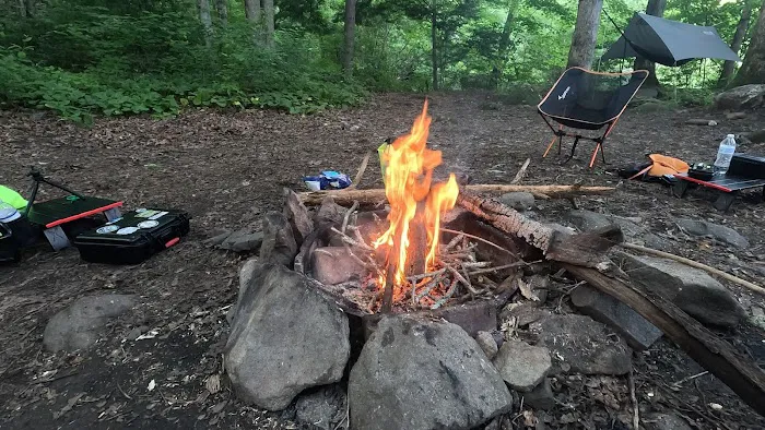 Backcountry Campsite #90 Picture 4