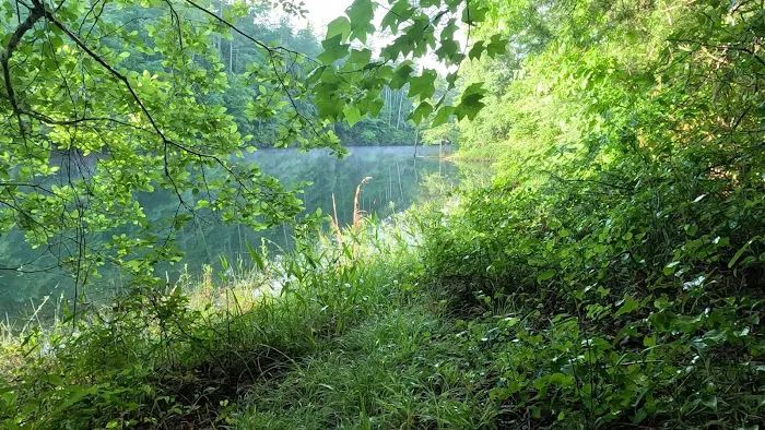 Backcountry Campsite #90 Picture 9