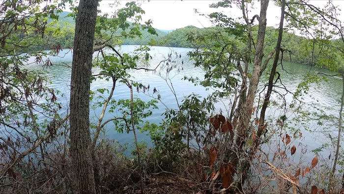 Backcountry Campsite #87 Picture 8