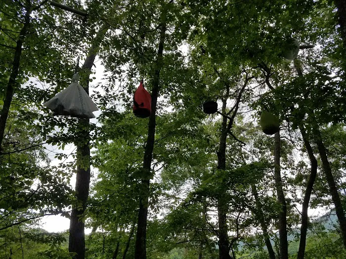 Backcountry Campsite #87 Picture 10