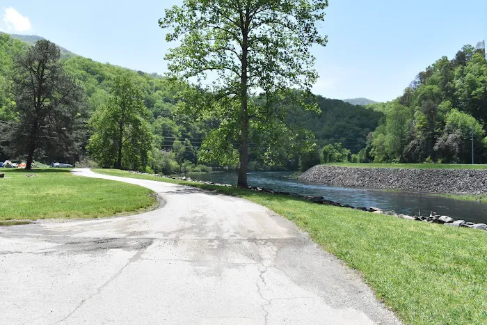 Fontana Dam Campground Picture 6