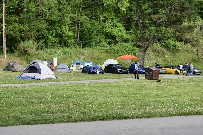 Fontana Dam Campground Picture 5