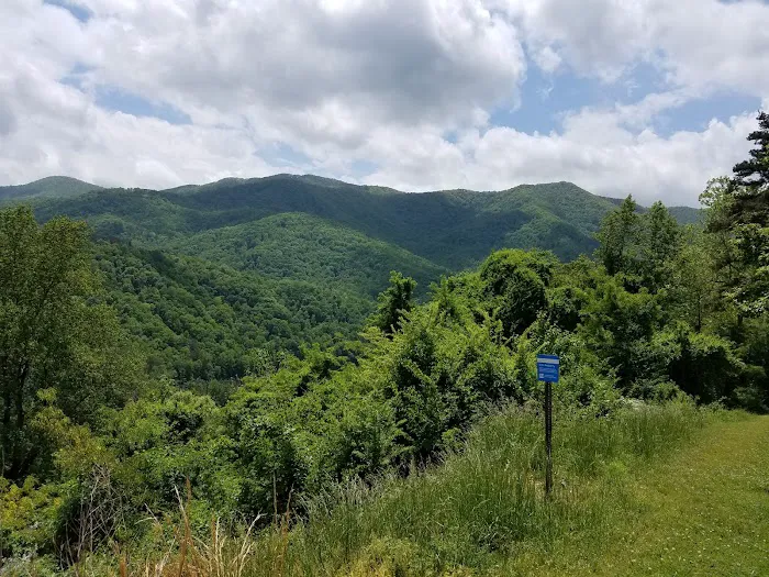 Fontana Dam Campground Picture 9