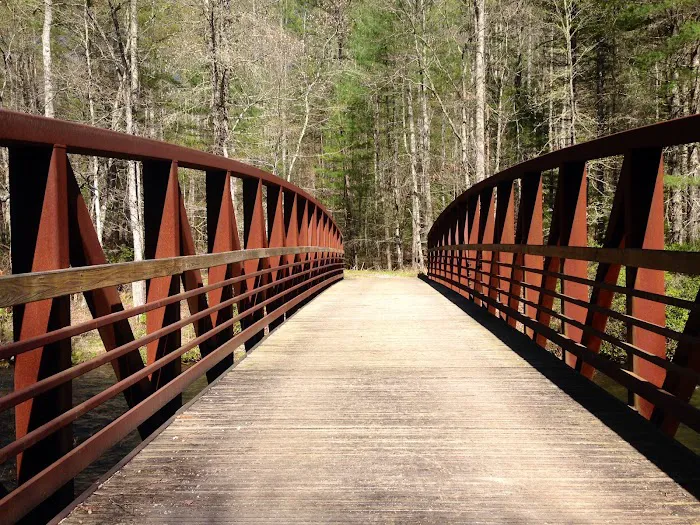 Backcountry Campsite #86 Picture 2