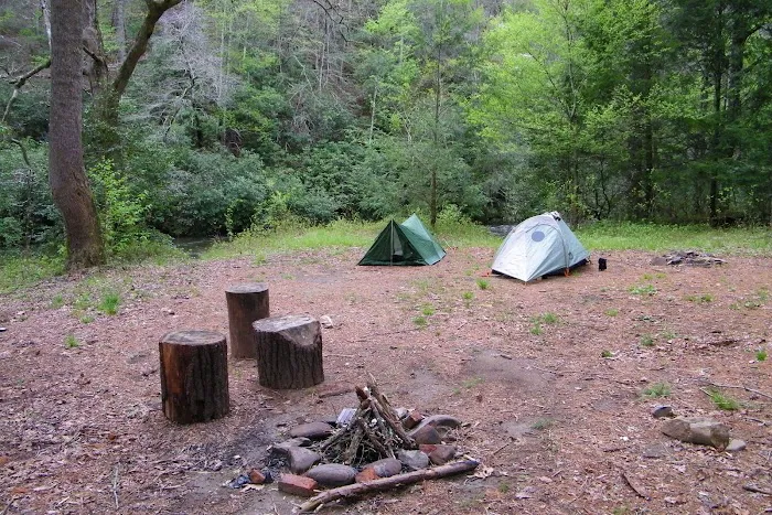 Backcountry Campsite #86 Picture 1