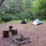 Backcountry Campsite #86