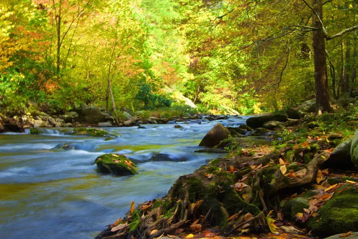 Backcountry Campsite #86 Picture 6