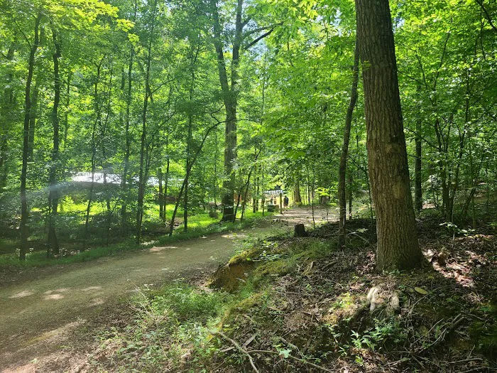 Camp Buck Toms Picture 4