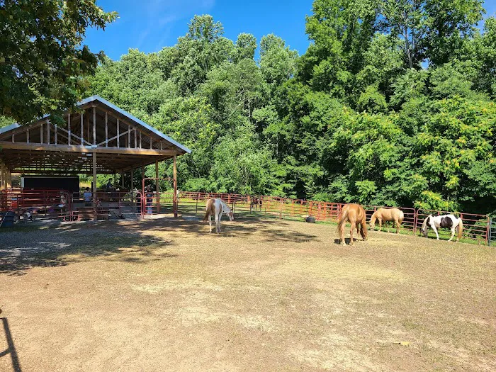 Camp Buck Toms Picture 10