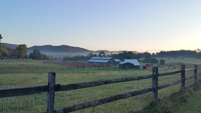 Tennissippi Picture 8