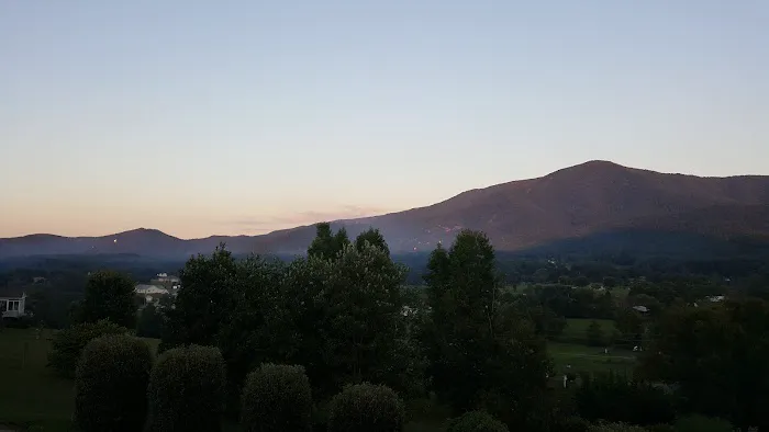 Tennissippi Picture 4