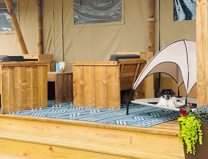 Star Gazer Glamping Village Picture 9