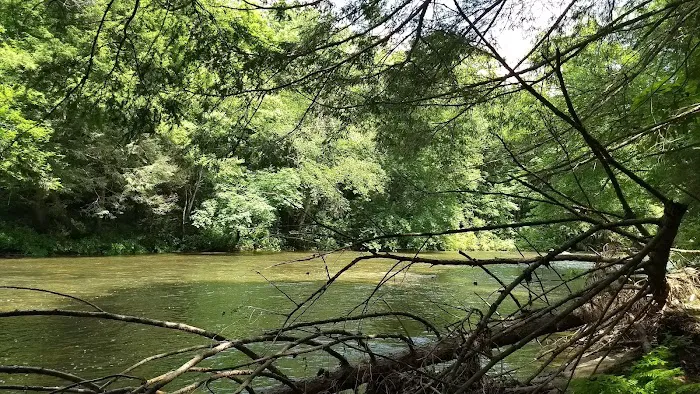 Daddys Creek Campsite Picture 4