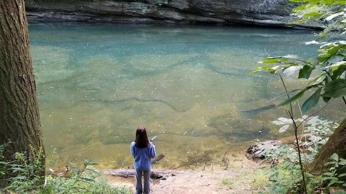 Daddys Creek Campsite Picture 9