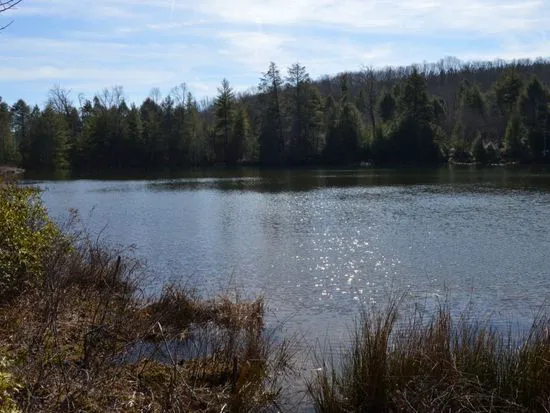Lake Waldensia Picture 8