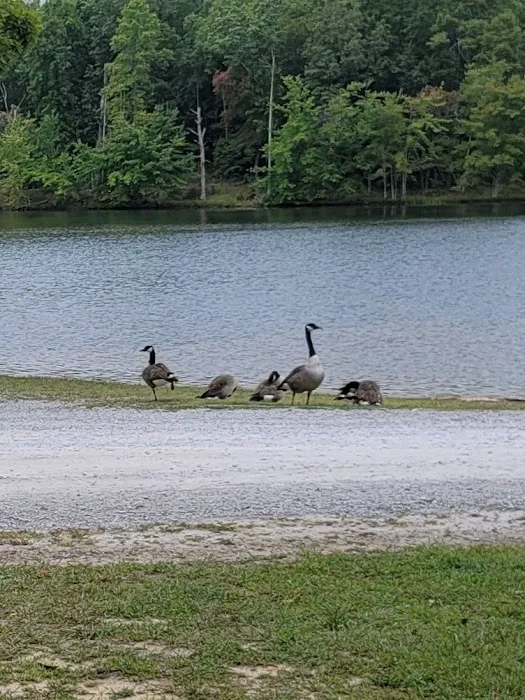 Deer Run RV Resort Picture 9