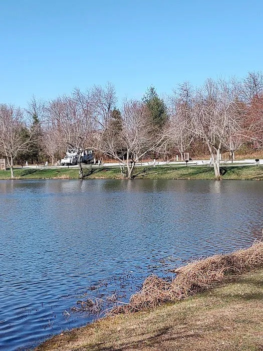 Spring Lake RV Resort Picture 10