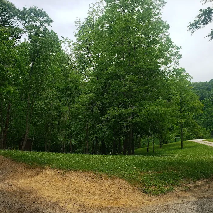 Taylor's Ford Picture 6