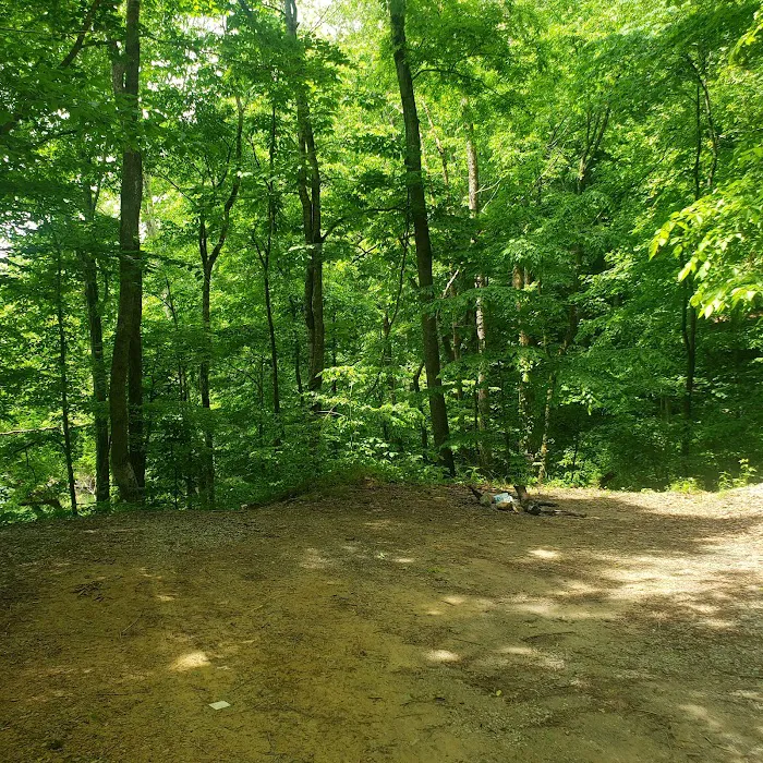 Taylor's Ford Picture 10