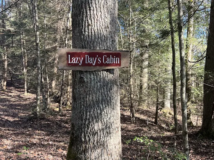 Lazy Days Cabin Picture 6