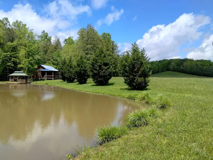 Lazy Days Cabin Picture 4