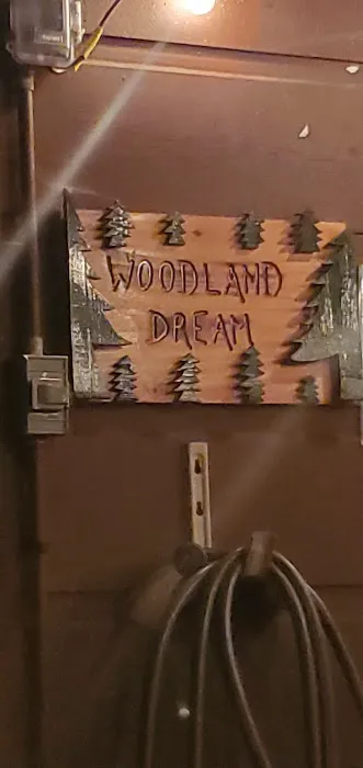 Woodland Dreams Picture 1