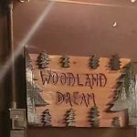 Woodland Dreams
