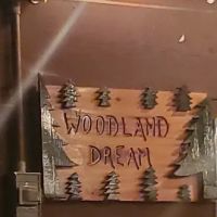 Woodland Dreams ico