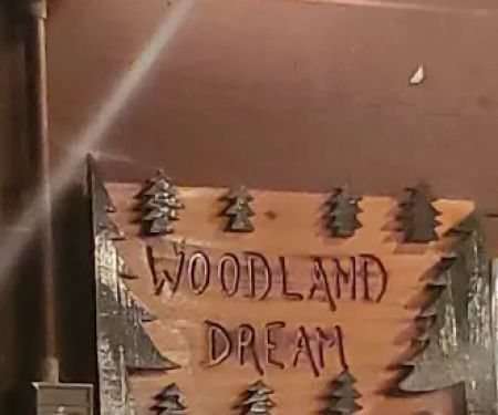 Woodland Dreams
