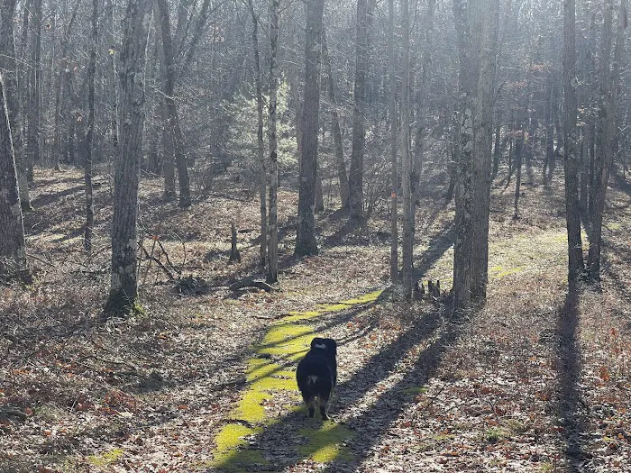 Happy Trails cabins & camping Picture 7