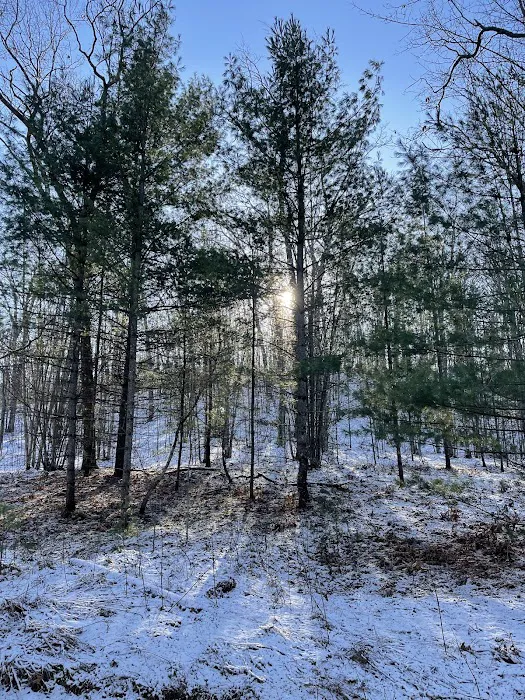 Happy Trails cabins & camping Picture 8
