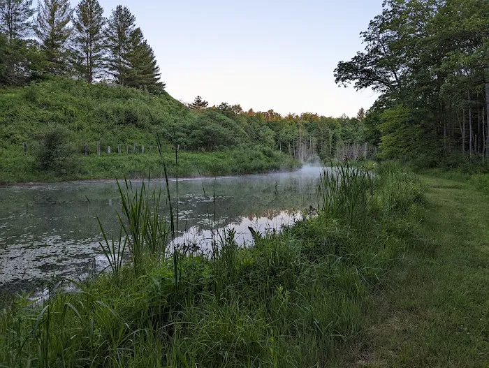 CoolWaters On the Pine River Picture 5