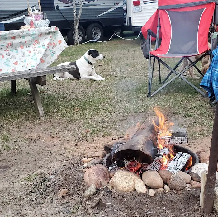 Kestelwoods Campground Picture 6