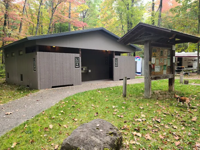 Peterson Bridge South Campground Picture 1