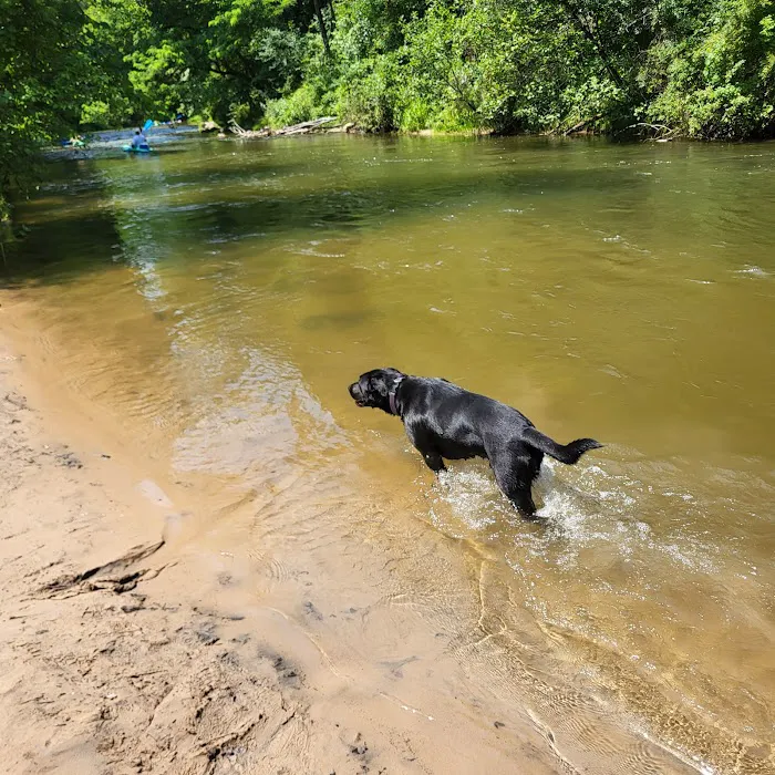 Peterson Bridge South Campground Picture 2