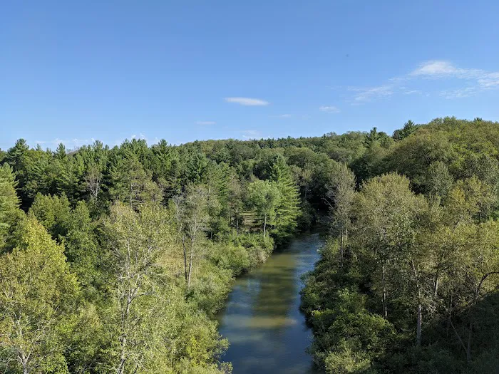 Peterson Bridge South Campground Picture 4