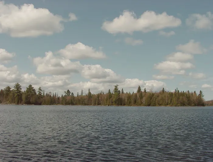 Peterson Bridge South Campground Picture 9