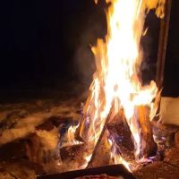Lazy acorn cabin rentals ico