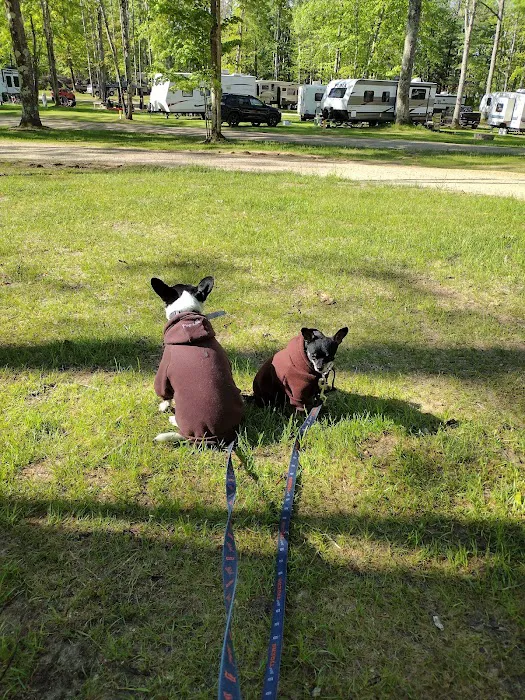 Peterson Creek Campground Picture 7