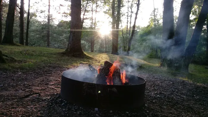 Peterson Creek Campground Picture 10