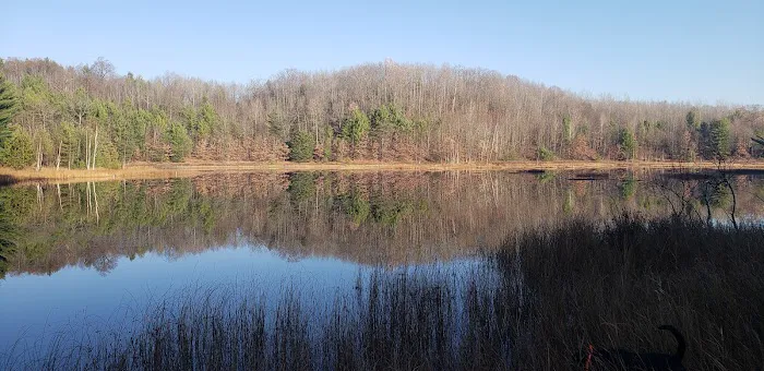 Long Lake (Missaukee) State Forest Campground Picture 2