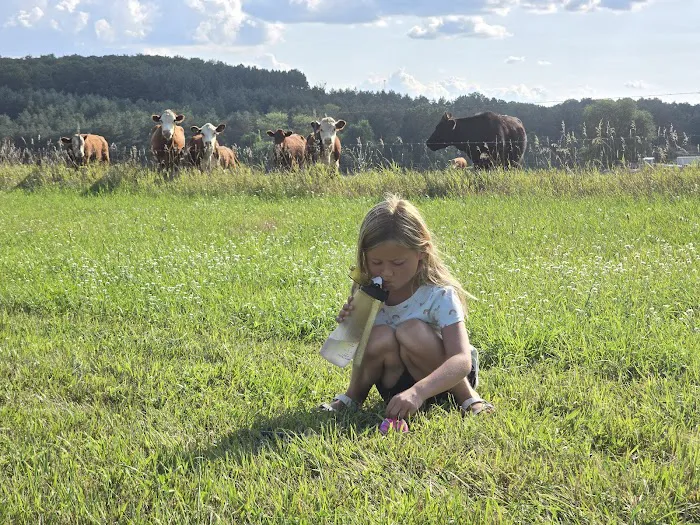 The Campground Michigan Picture 6