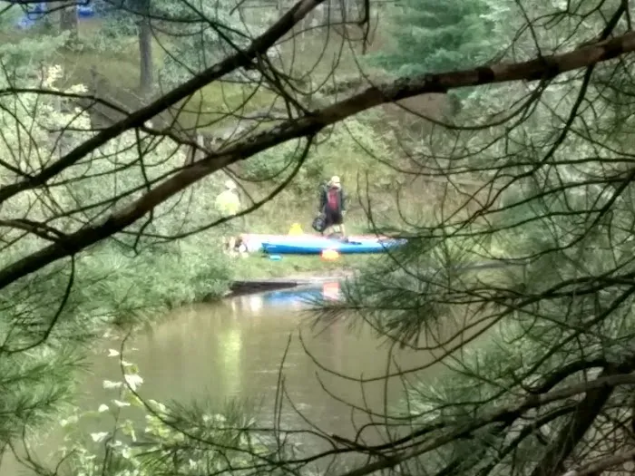 Manistee River Bridge State Forest Campground Picture 1