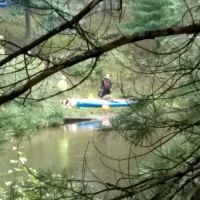 Manistee River Bridge State Forest Campground ico